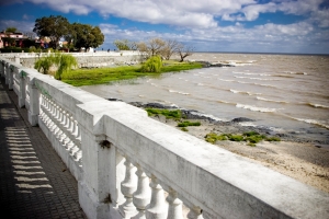 Colonia