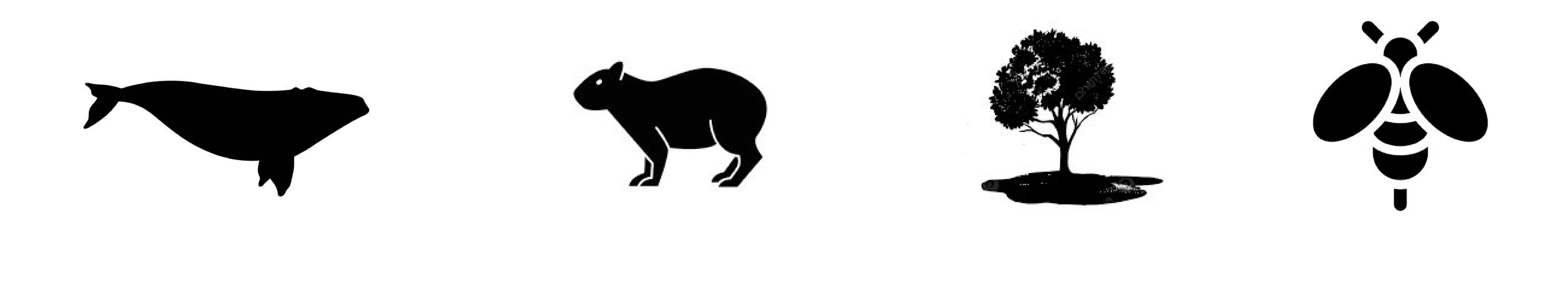 especies