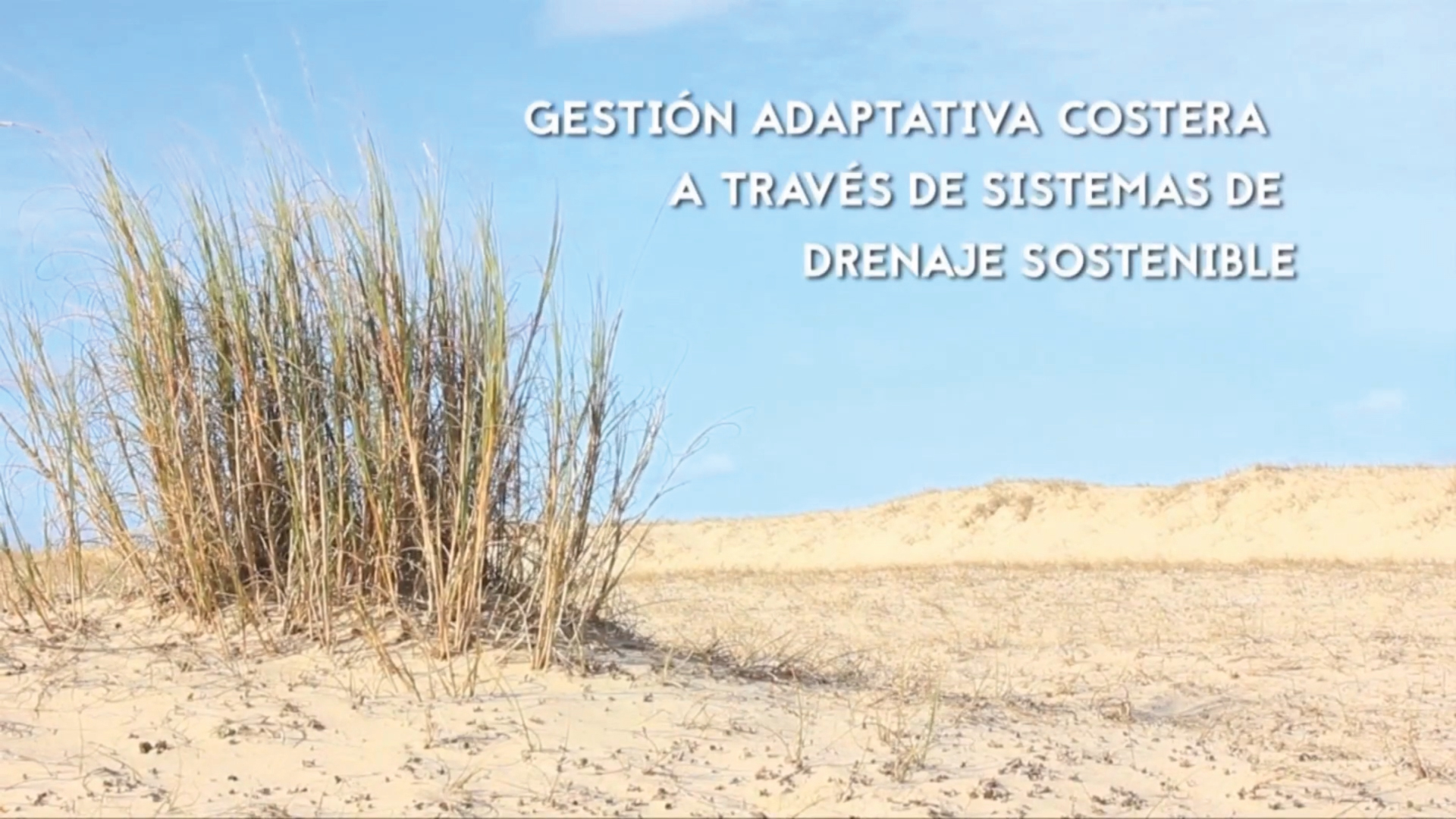 gestion