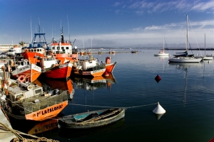 rocha