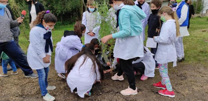 Plantación de especies nativas en San Bautista
