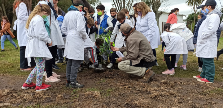 Plantación de especies nativas en San Bautista