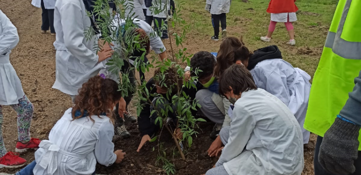 Plantación de especies nativas en San Bautista
