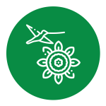 ecosistemas