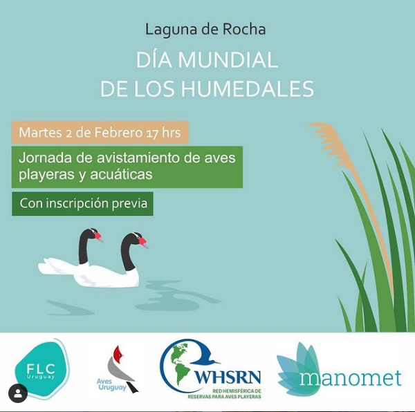 Invitación
