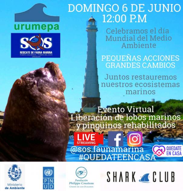 Restauración de ecosistemas marinos