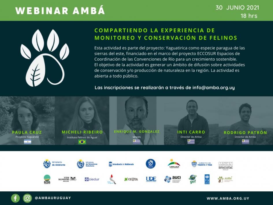 Webinar AMBÁ