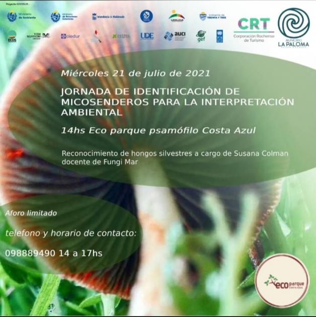 Jornada de identificación de micro senderos para la interpretación ambiental