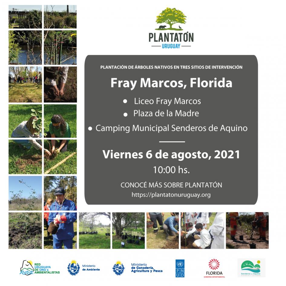 Plantatón Uruguay en Fray Marcos, Florida