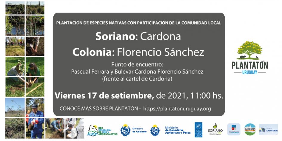 Plantatón Uruguay en Cardona (Soriano) y Florencio Sánchez (Colonia)