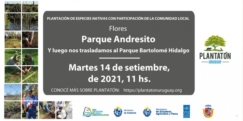 Plantatón Uruguay en Flores