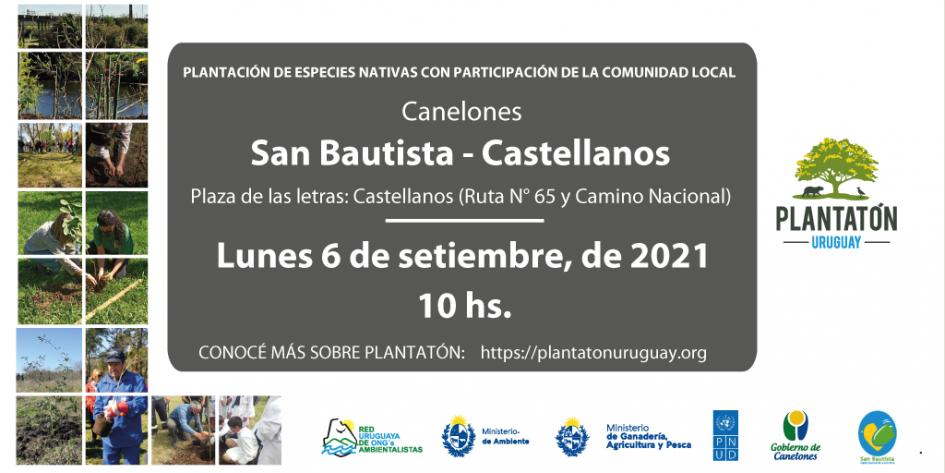 Plantatón Uruguay en San Bautista, Canelones