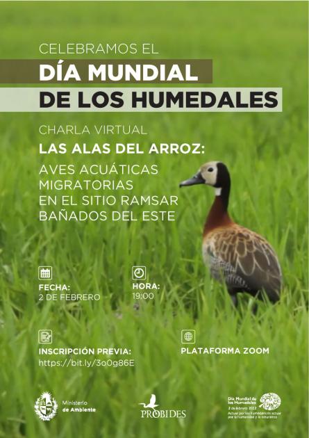 Invitación
