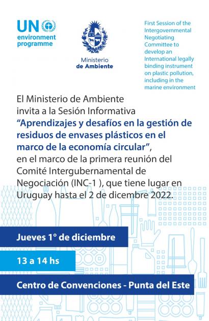 Sesión Informativa de Uruguay en Reunión INC - Plásticos