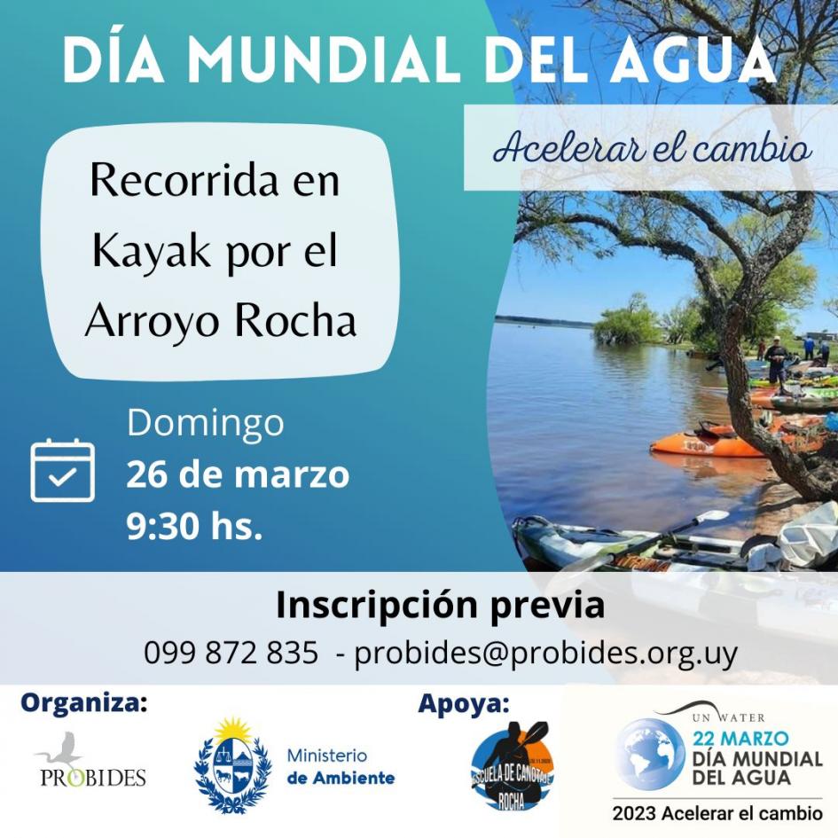 Recorrida en kayak por el arroyo Rocha