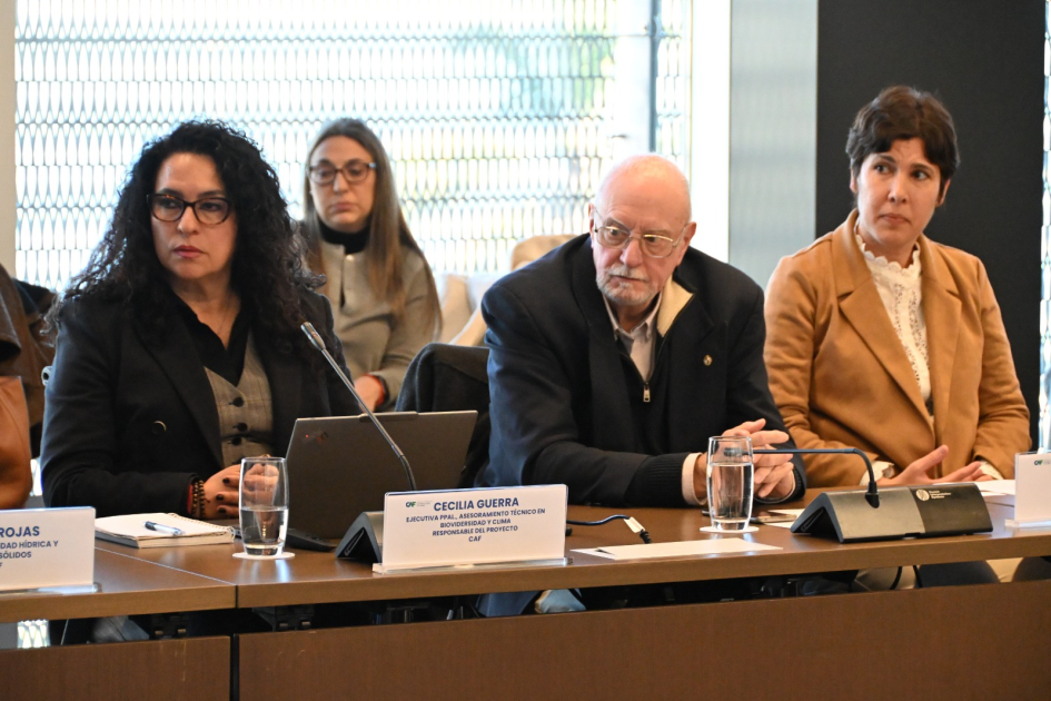 Proyecto acuífero guaraní Proyecto acuífero guaraní