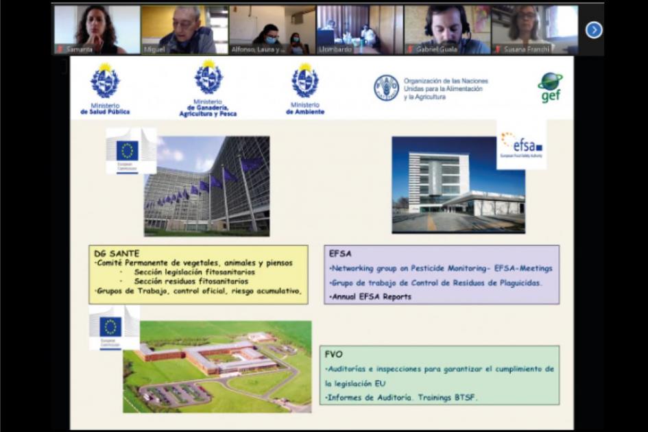 Taller “Simulacro de una auditoría de la comunidad europea (CE) de plaguicidas” Captura de pantalla Taller “Simulacro de una auditoría de la comunidad europea de plaguicidas”
