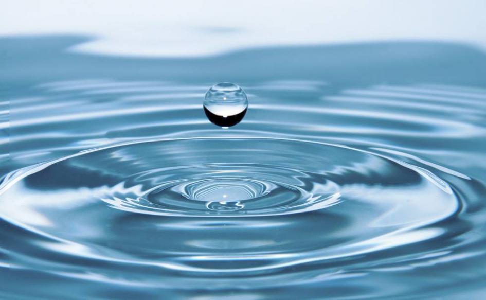 El agua, el riesgo y su gestión El agua, el riesgo y su gestión