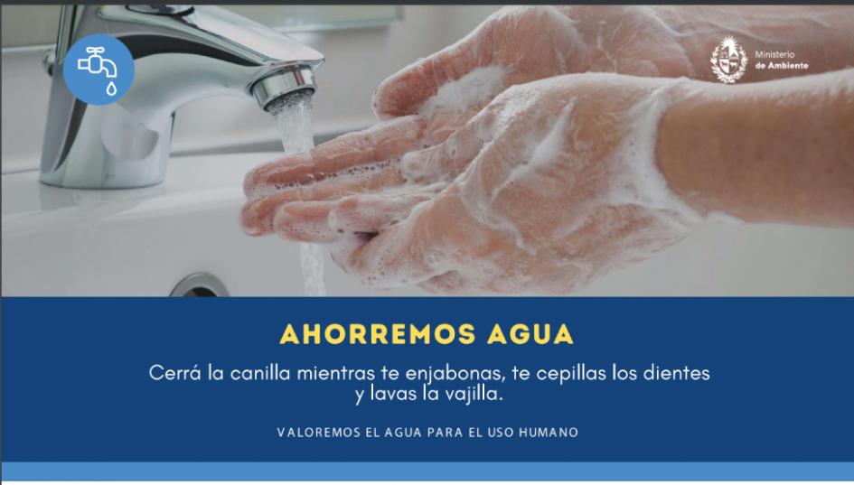 Prácticas para cuidar el agua