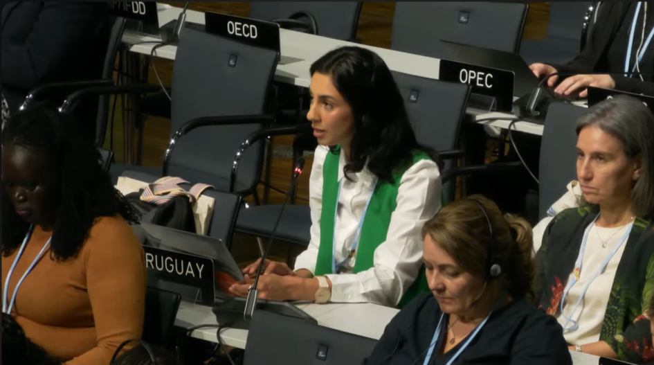 Bonn 2025 Bonn 2025
