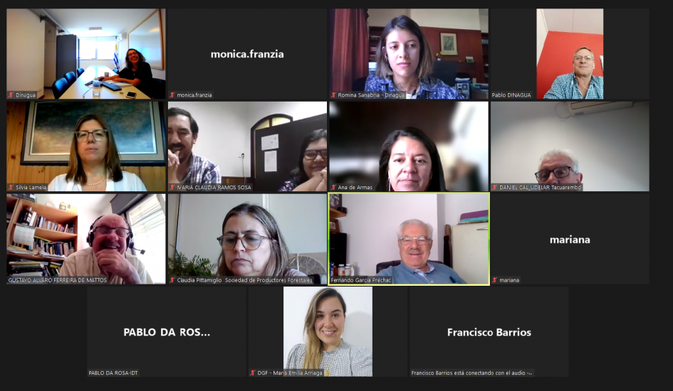 Participantes de la 11ª Sesión de la Comisión de Cuenca del Río Negro Captura de pantalla de la sesión donde se ven los participantes de la misma.