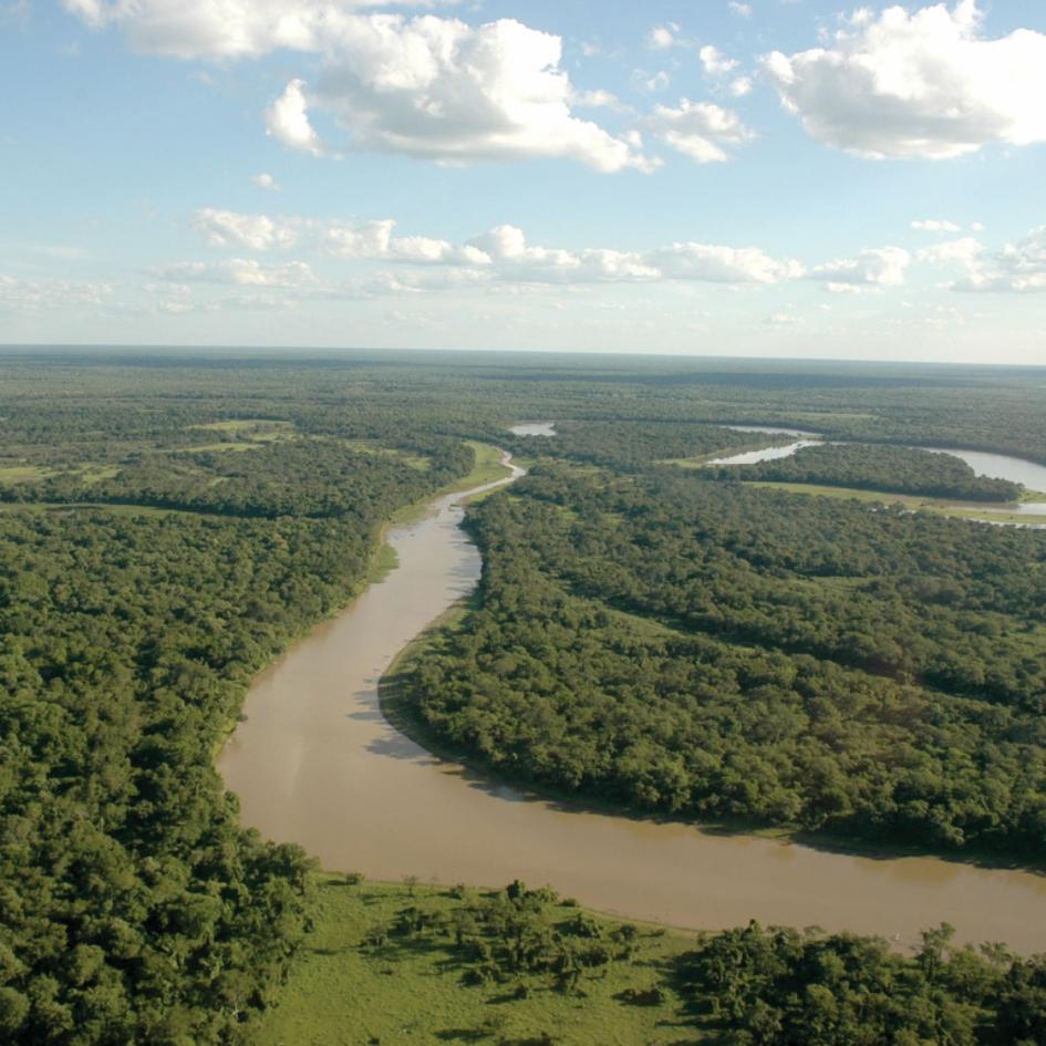 Cuenca del Río de la Plata Cuenca del Río de la Plata