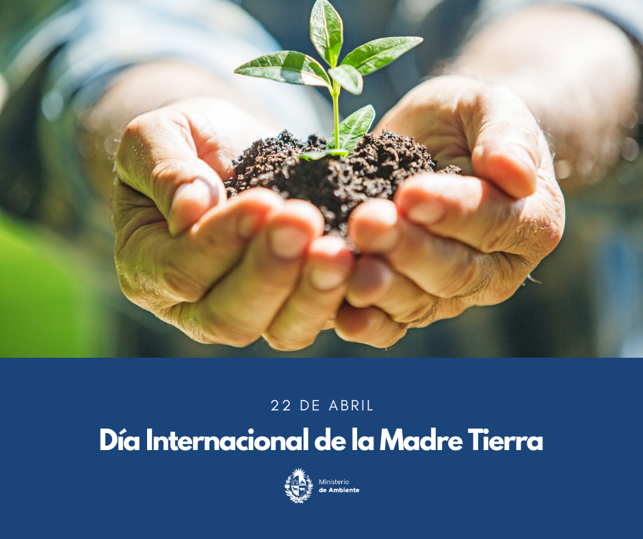 Día Internacional de la Madre Tierra Día Internacional de la Madre Tierra