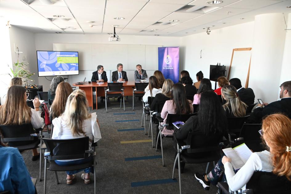 Hoja de Ruta: Plan Nacional de implementación de los Derechos de Acceso en asuntos ambientales