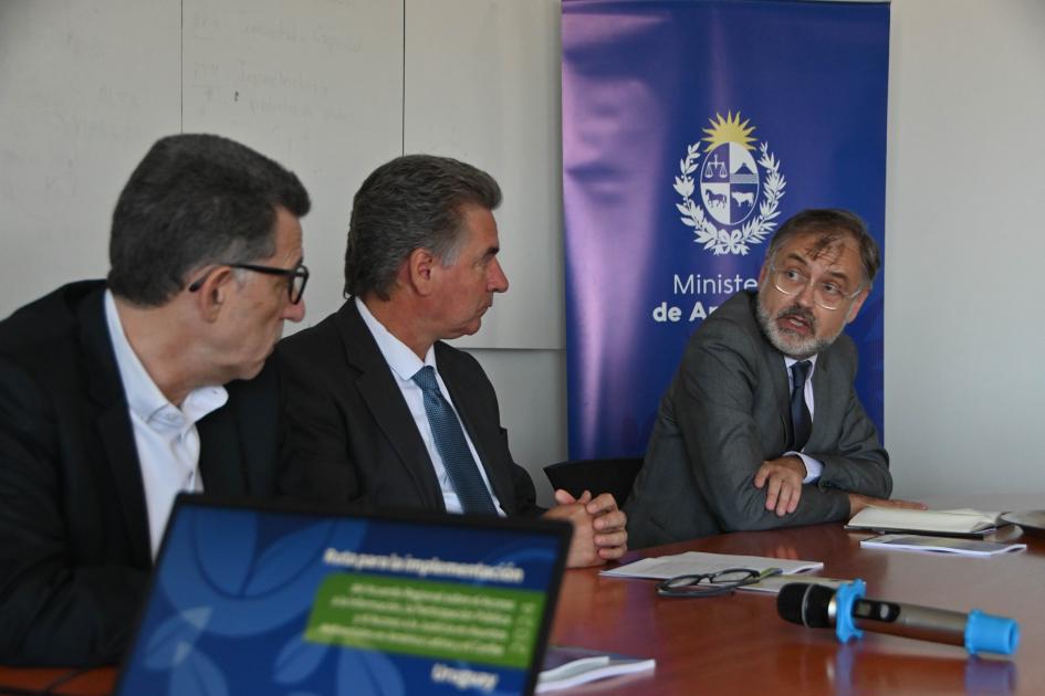 Hoja de Ruta: Plan Nacional de implementación de los Derechos de Acceso en asuntos ambientales