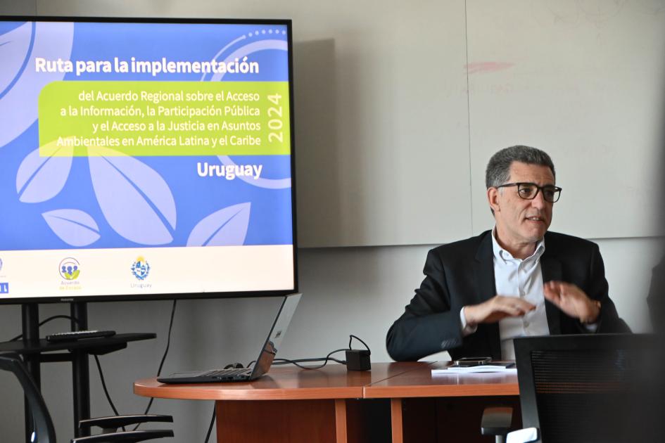 Hoja de Ruta: Plan Nacional de implementación de los Derechos de Acceso en asuntos ambientales