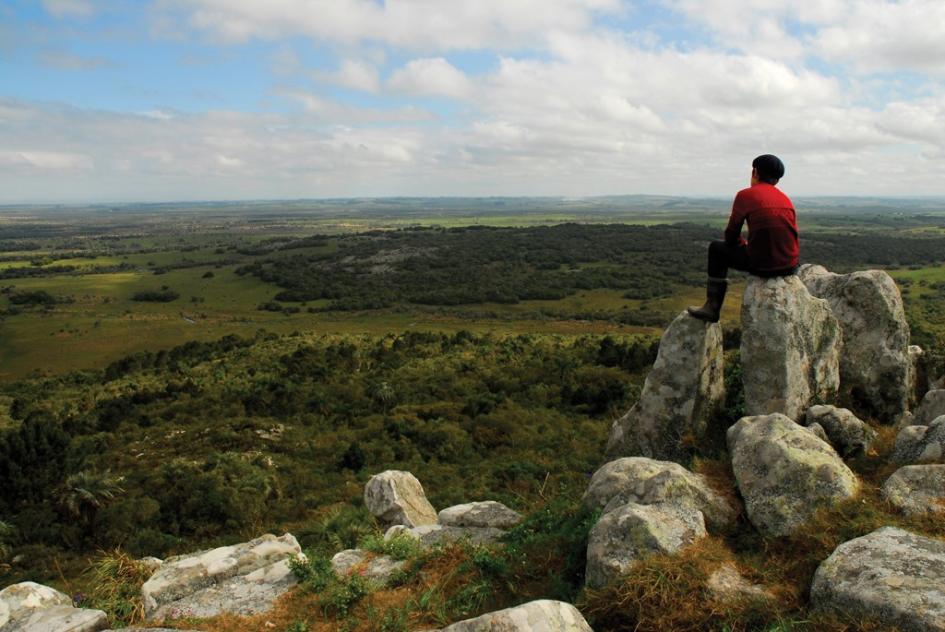 Junio: Mes del Ambiente