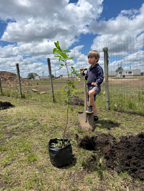 Conformación Nodo Educación Ambiental - ReNEA en Artigas Conformación Nodo Educación Ambiental - ReNEA en Artigas