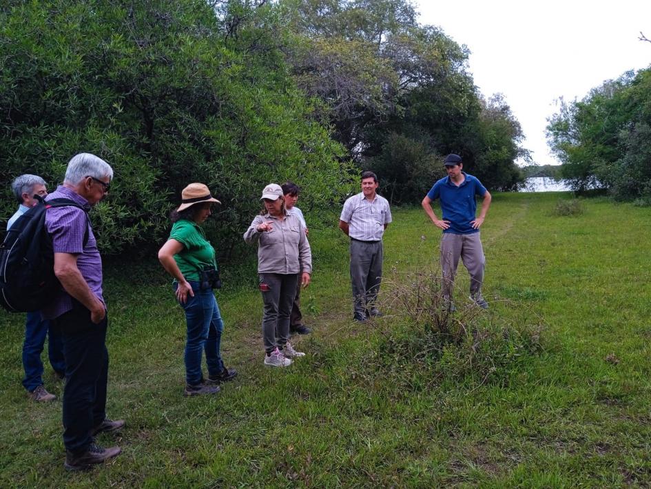 Estrategia para el control de especies exóticas invasoras en ecosistemas costeros del Río Uruguay Estrategia para el control de especies exóticas invasoras en ecosistemas costeros del Río Uruguay