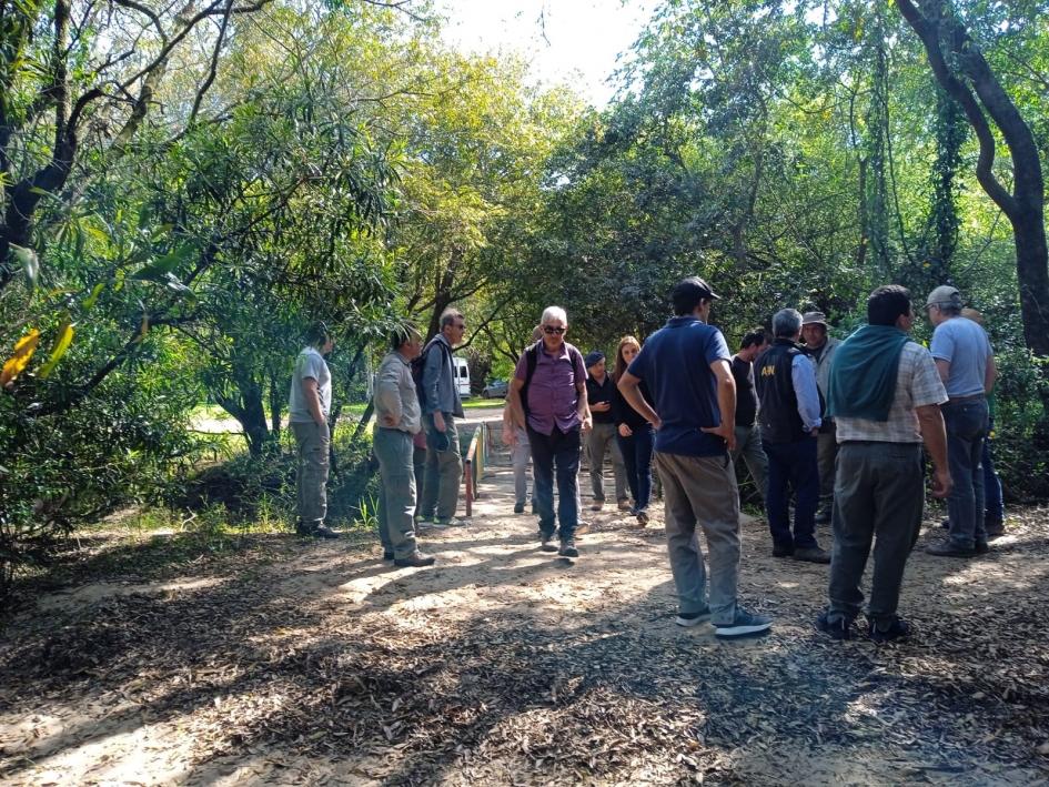 Estrategia para el control de especies exóticas invasoras en ecosistemas costeros del Río Uruguay Estrategia para el control de especies exóticas invasoras en ecosistemas costeros del Río Uruguay