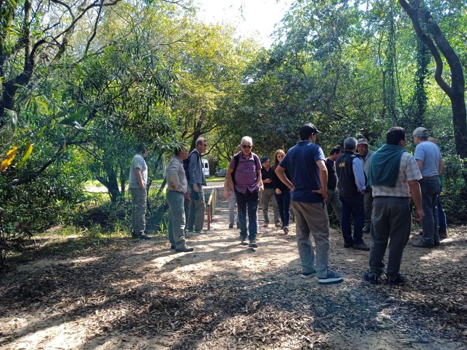 Estrategia para el control de especies exóticas invasoras en ecosistemas costeros del Río Uruguay