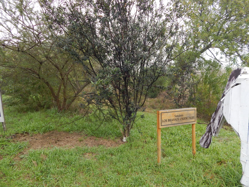 Visitita del MA a la Escuela Rural Nº 35 Tropa Vieja