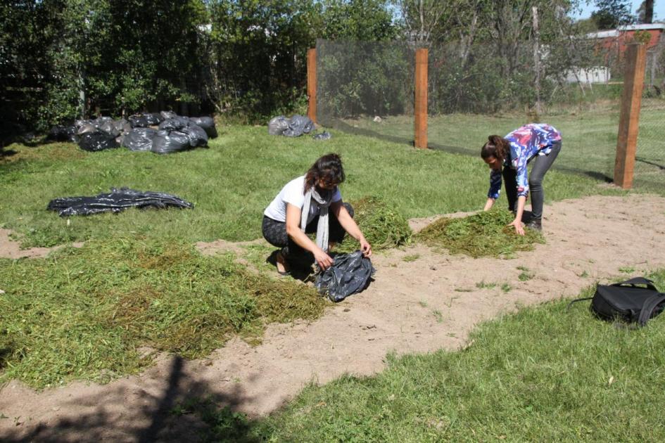 Proyecto Ecolavalleja (Fuente: Intendencia de Lavalleja) Compostaje
