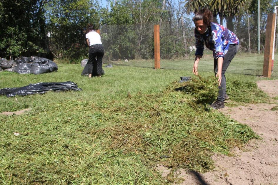 Proyecto Ecolavalleja (Fuente: Intendencia de Lavalleja) Compostaje