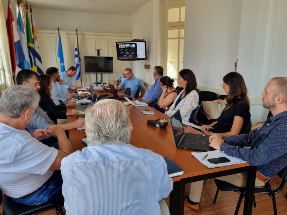 Proyecto de Porte Medio para la ejecución del Plan de Acciones Estratégicas (PAE) del SAG Miembros del Comité de Monitoreo y Modelos