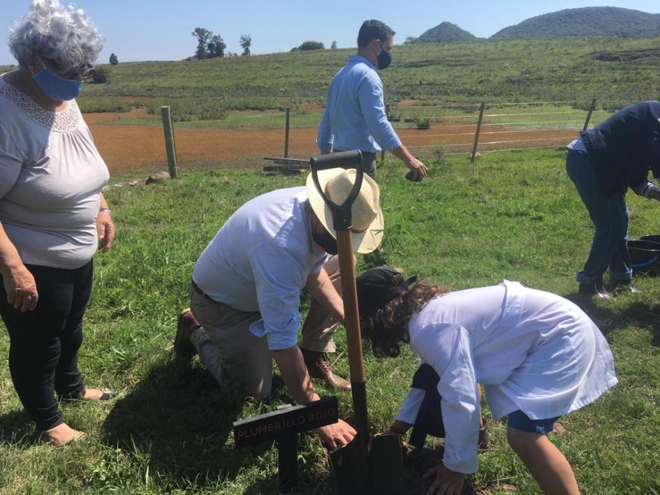 Día de las Áreas Protegidas de Latinoamérica y el Caribe (PP Valle del Lunarejo) Plantación en Valle del Lunarejo