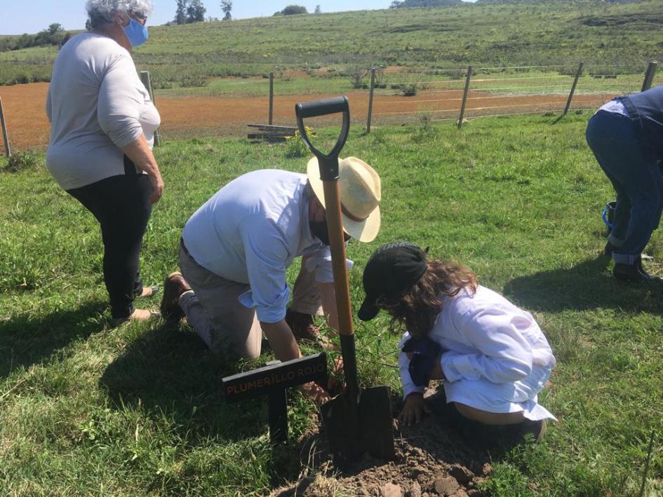 Día de las Áreas Protegidas de Latinoamérica y el Caribe (PP Valle del Lunarejo) Plantación en Valle del Lunarejo
