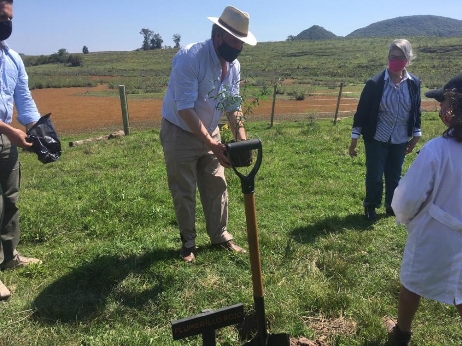 Día de las Áreas Protegidas de Latinoamérica y el Caribe (PP Valle del Lunarejo) Plantación en Valle del Lunarejo