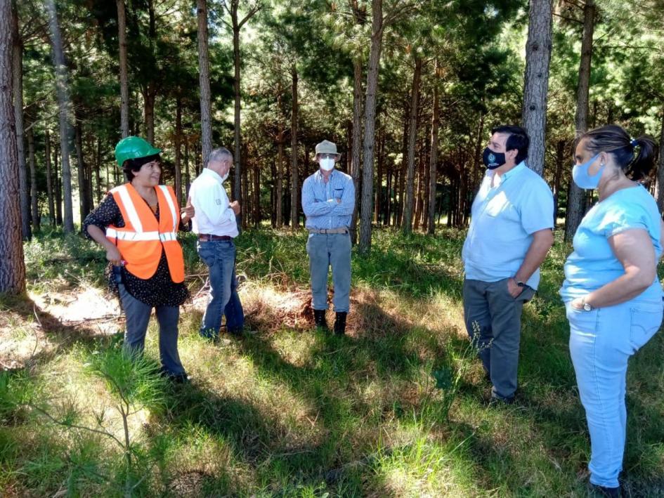 Gira de autoridades del Ministerio de Ambiente por empresas forestales de Rivera y Tacuarembó Gira de autoridades del Ministerio de Ambiente por empresas forestales de Rivera y Tacuarembó