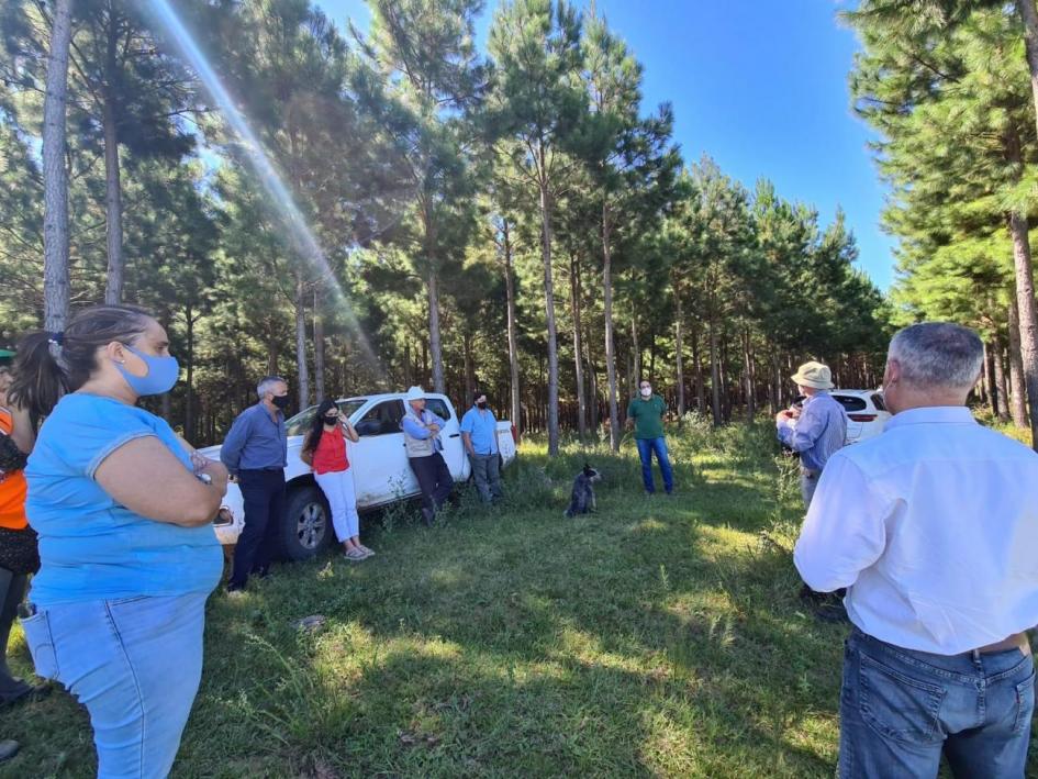 Gira de autoridades del Ministerio de Ambiente por empresas forestales de Rivera y Tacuarembó Gira de autoridades del Ministerio de Ambiente por empresas forestales de Rivera y Tacuarembó
