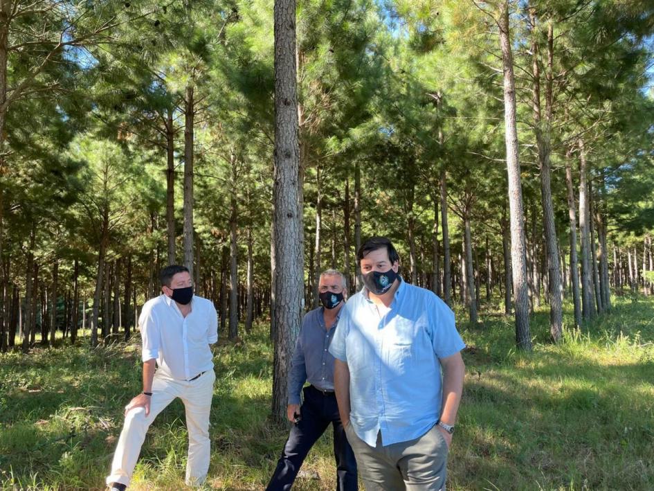 Gira de autoridades del Ministerio de Ambiente por empresas forestales de Rivera y Tacuarembó Gira de autoridades del Ministerio de Ambiente por empresas forestales de Rivera y Tacuarembó