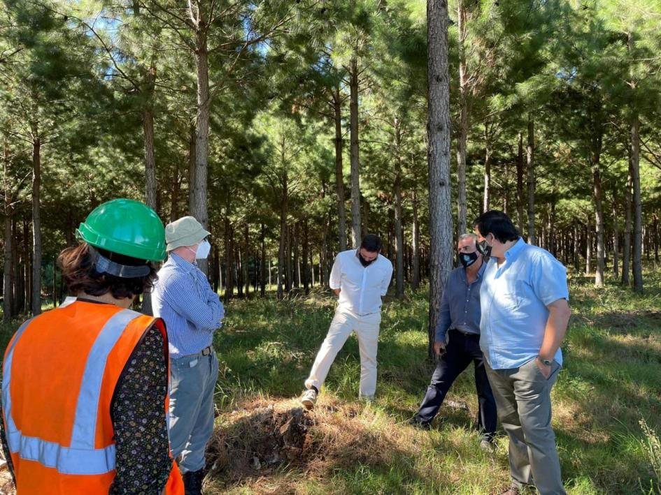 Gira de autoridades del Ministerio de Ambiente por empresas forestales de Rivera y Tacuarembó Gira de autoridades del Ministerio de Ambiente por empresas forestales de Rivera y Tacuarembó