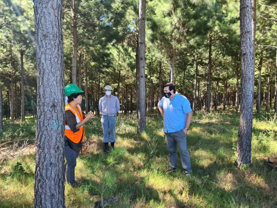 Gira de autoridades del Ministerio de Ambiente por empresas forestales de Rivera y Tacuarembó Gira de autoridades del Ministerio de Ambiente por empresas forestales de Rivera y Tacuarembó