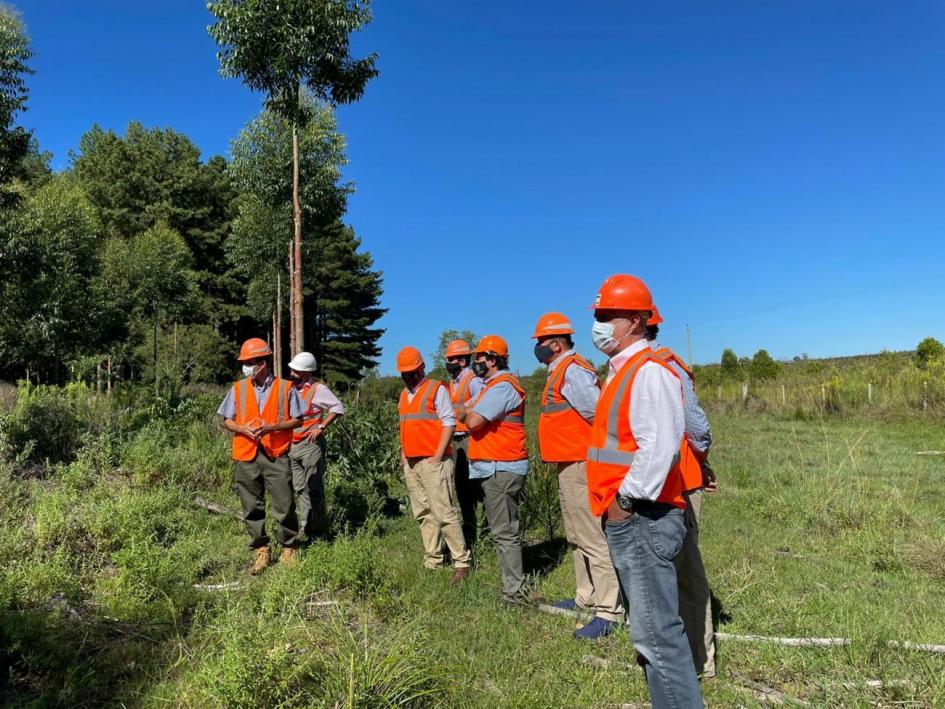 Gira de autoridades del Ministerio de Ambiente por empresas forestales de Rivera y Tacuarembó Gira de autoridades del Ministerio de Ambiente por empresas forestales de Rivera y Tacuarembó