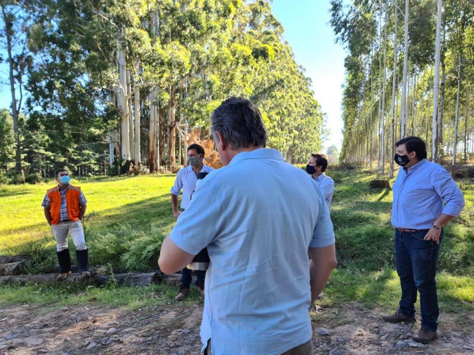 Gira de autoridades del Ministerio de Ambiente por empresas forestales de Rivera y Tacuarembó Gira de autoridades del Ministerio de Ambiente por empresas forestales de Rivera y Tacuarembó