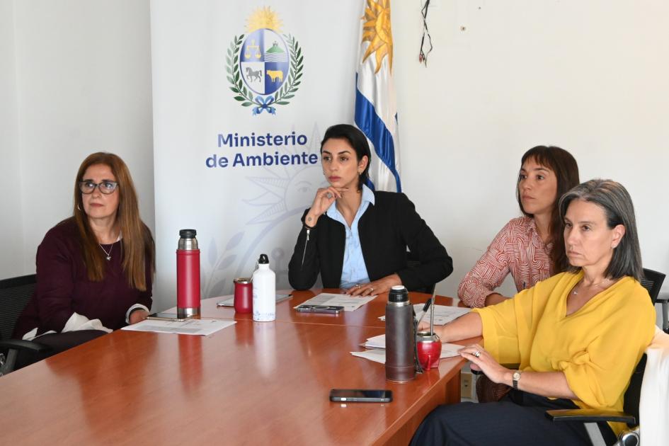 Grupo Sur Grupo Sur